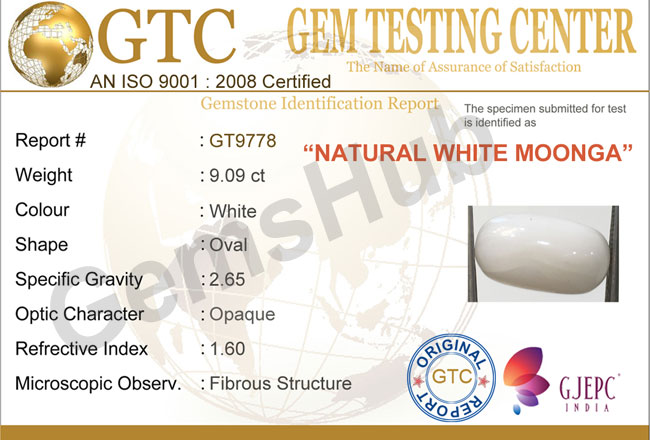 9.09 ct Natural Certified  White Coral/सफ़ेद मूंगा